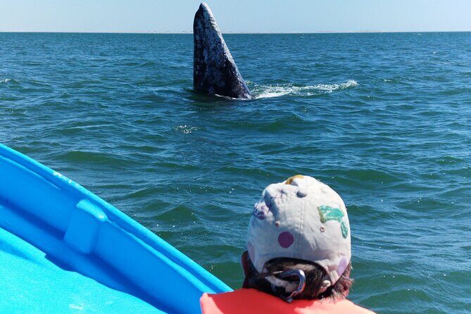 Full Day Gray Whale Watching Experience - Lunch in Puerto Chale: Food, Bathrooms, and Resetting for the Return