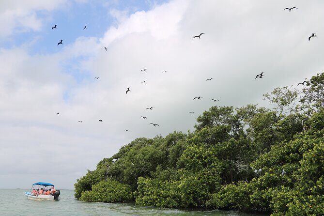 Full Day Guided Tour to Sian Ka'an (short way) - Stop 1 in Playa del Carmen: more than just a starting point