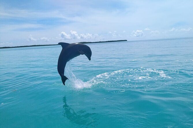 Full Day Guided Tour to Sian Ka'an (short way) - The snorkeling block: two hours in a natural pool (and gear is included)