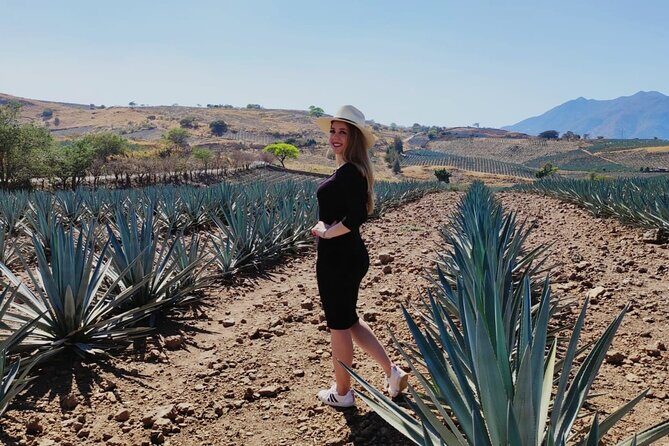 Full Day in Tequila with Tasting and party in Cantaritos - Practical tips before you go: water, shoes, and tasting pace