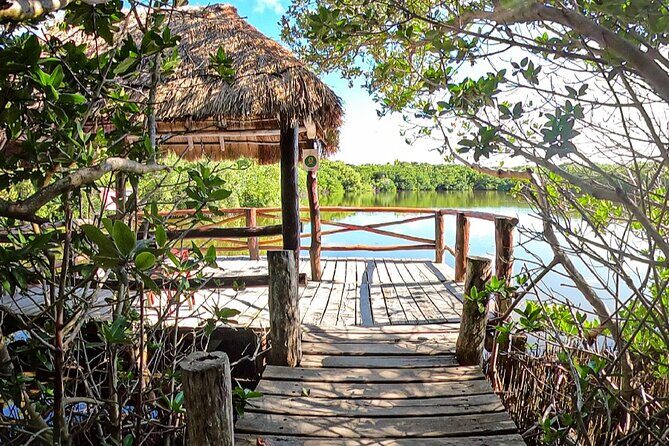 Full-Day Isla Contoy Sailing Nature Experience in Mujeres - Cancun departure to Isla Mujeres: the calm start