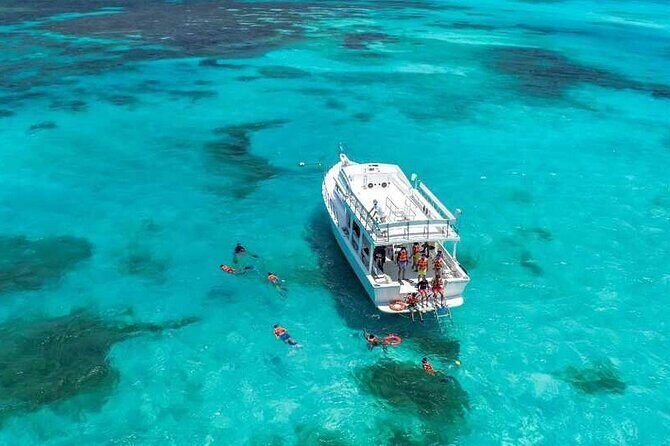 Full-Day Isla Contoy Sailing Nature Experience in Mujeres - Price and value: $125.10 plus the $20 reef tax