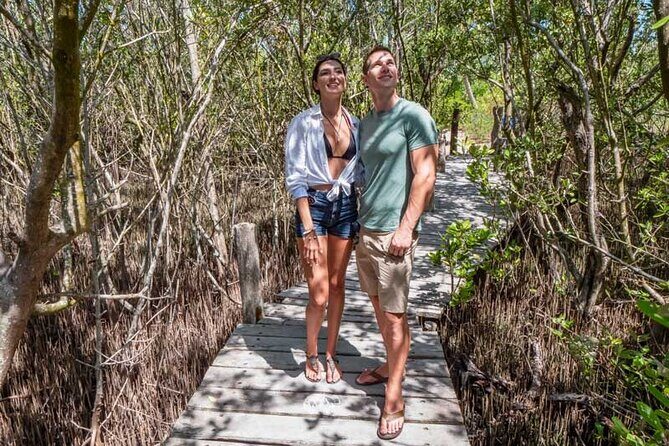 Full-Day Isla Contoy Sailing Nature Experience in Mujeres - Who this Isla Contoy sailing day is best for