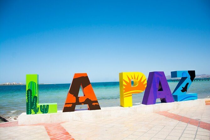 Full-Day La Paz Private Tour from Los Cabos - Pickup, Timing, and How the 8 Hours Actually Pan Out