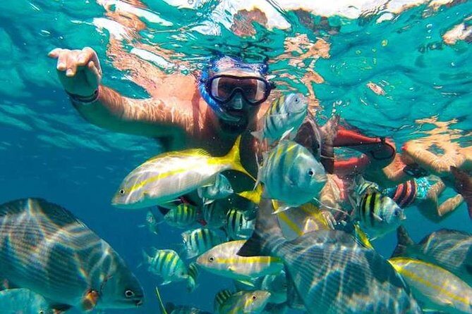 Full-Day Luxurious Catamaran Adventure - Cancún to Isla Mujeres - Downtown Isla Mujeres: Shops, Walking Pace, and Timing Reality