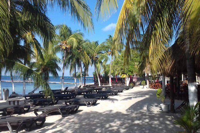 Full-Day Luxurious Catamaran Adventure - Cancún to Isla Mujeres - Snorkeling on the Reef: Gear Included, Time Limited