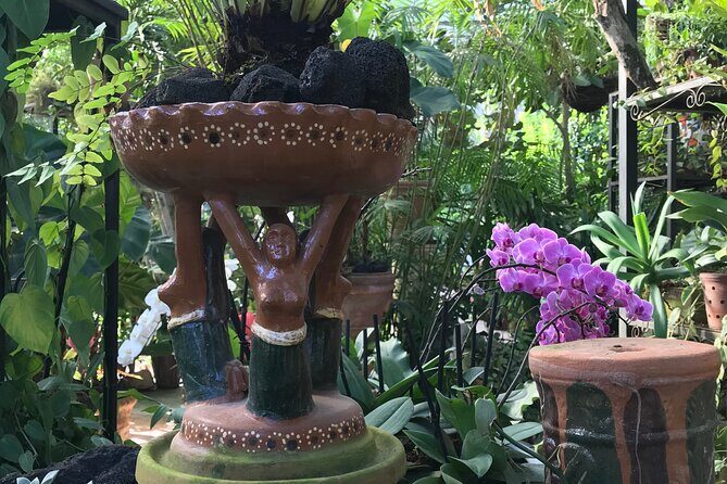 Full Day Puerto Vallarta Botanical Garden Tour - Getting To Know Puerto Vallarta Botanicals Before You Even Walk