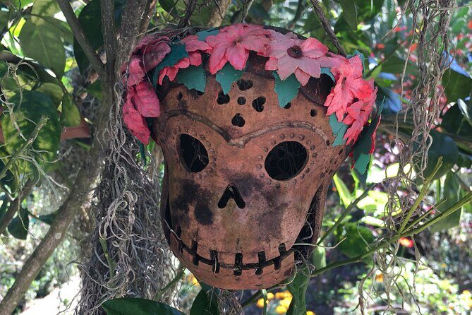 Full Day Puerto Vallarta Botanical Garden Tour - Price and Value: $59.50 Plus the Extra Bus Fare and Lunch