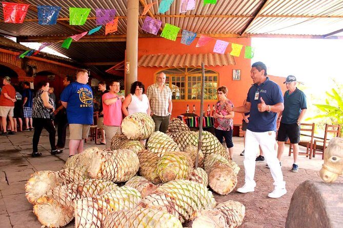Full-Day Puerto Vallarta City Highlights Tour - Coffee and tequila at Los Veranos: a fun detour that can shift the day’s tone