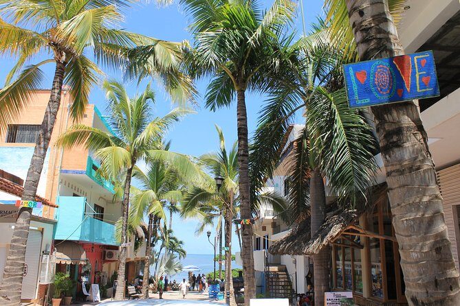 Full-Day Sayulita and San Pancho from Puerto Vallarta - Price and Logistics: What $53 Really Covers