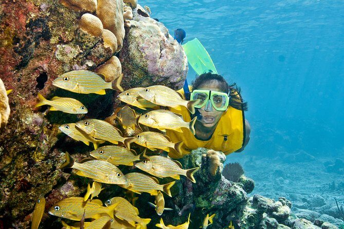 Full-Day Snorkel Extreme Adventure Tour from Riviera Maya - Early Pickup and a Tight 6–7 Hour Rhythm
