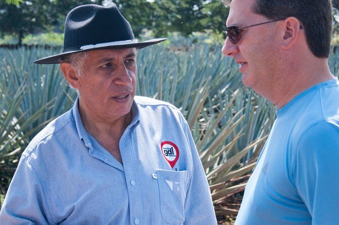 Full-Day Tequila Tour from Guadalajara - The day trip rhythm: 7 hours that feel full (especially at peak traffic)