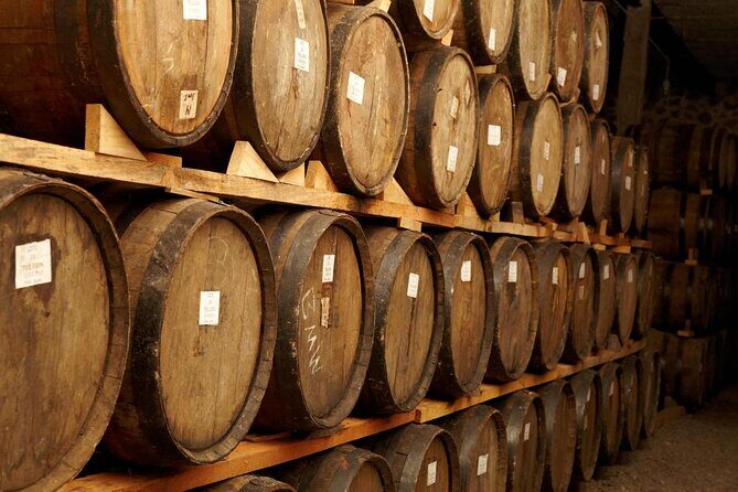 Full-Day Tequila Tour from Guadalajara - Mundo Cuervo agave fields: the lesson that makes the rest of the day click