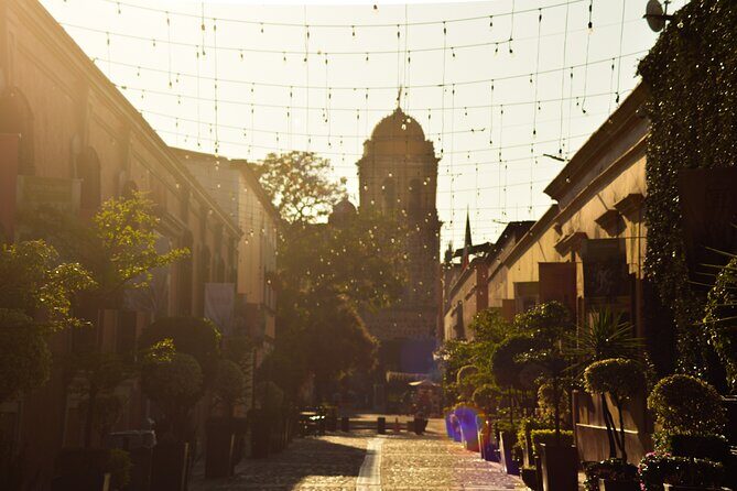 Full-Day Tequila Tour from Guadalajara - Tequila town time: lunch, shopping, and how to spend your free hours