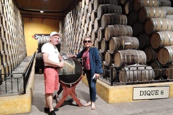 Full-Day Tequila Tour from Guadalajara - Practical tips so your day stays comfortable