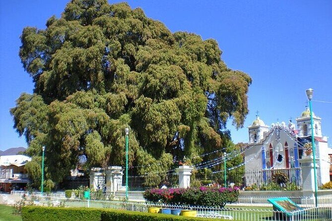 full day tour : Boil the water, Teotitlan, Mezcal, tule and Mitla - Pacing and sound: what the long day feels like in real life