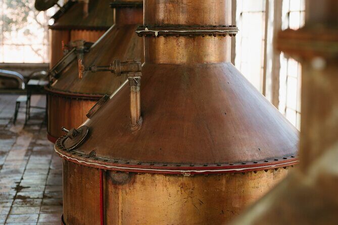 Full-Day Tour in Tequila factory and Cantaritos el Gúero - Getting from Guadalajara to Tequila: start time, bus comfort, and group size