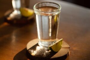 Full-Day Tour in Tequila factory and Cantaritos el Gúero - Inside the Tequila factory in Jalisco: swing views, agave fields, and that underground cave