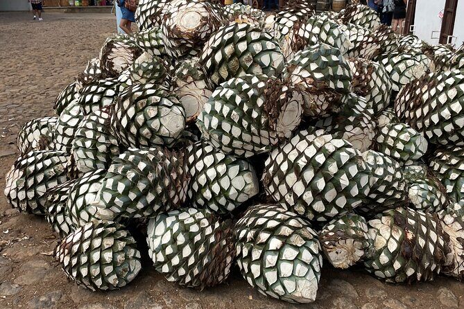 Full-Day Tour in Tequila factory and Cantaritos el Gúero - Price and value: why $71.05 can make sense for a full day