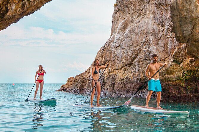 Full Day Tour Isla Marietas with Meals and Open Bar - Marietas Marine Life: Dolphins, Fish Color, and Winter Whales