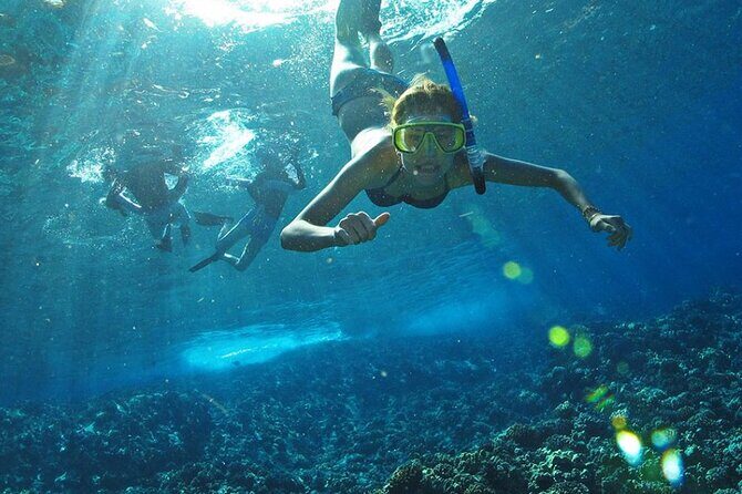 Full Day Tour Isla Marietas with Meals and Open Bar - Group Size, Boat Comfort, and the Pace of the Day