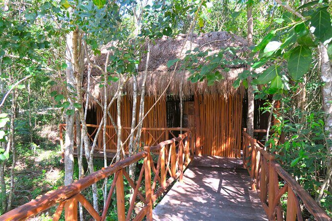Full-Day Tour of Tulum Ruins and Cenotes with Lunch - Price, Value, and What’s Actually Extra