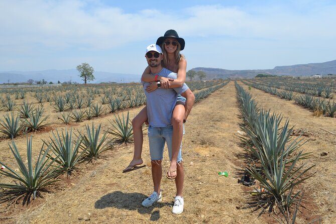 Full Day Tour to Tequila and Amatitán with Fun and Culture - Timing and logistics: why the day feels full (and what that means for you)