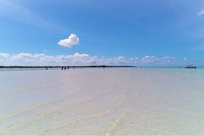 Full Day Tour to the Best of Holbox - Holbox Island free time: where walking and calm water do the talking