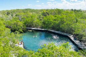 Full Day Tour to the Best of Holbox - Isla de la Pasion: short bird watching with a nature-walk feel