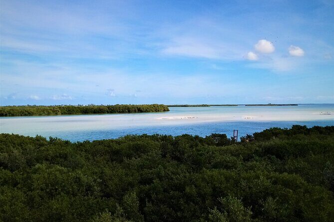 Full Day Tour to the Best of Holbox - Punta Mosquito: 45 minutes to eat, swim, and not overthink it