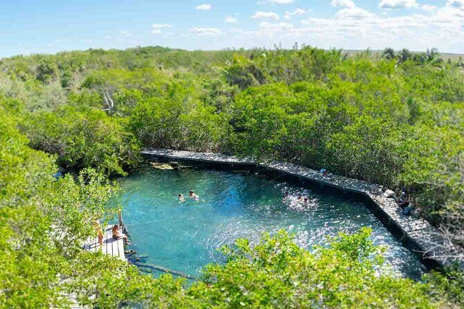 Full Day Tour to the Best of Holbox - Isla de la Pasion: short bird watching with a nature-walk feel