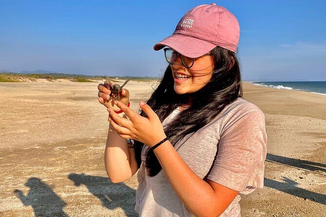 Full Day Tour Turtle Release and Bioluminescence - A 10-hour loop: turtles, surfing country, then plankton light