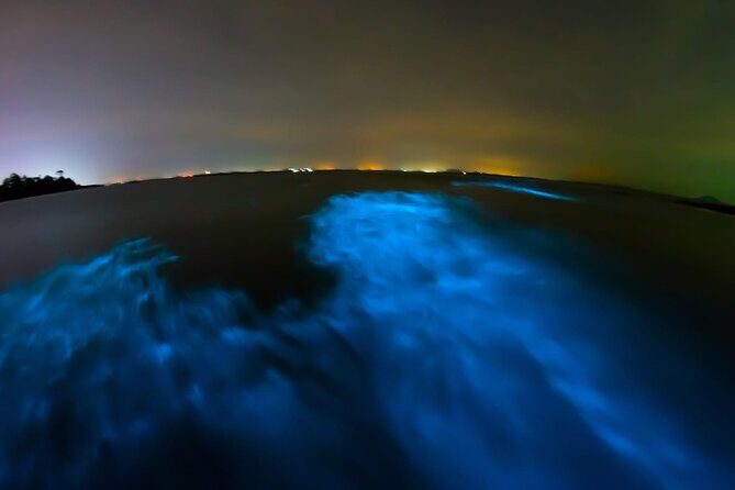Full Day Tour Turtle Release and Bioluminescence - Manialtepec lagoon bioluminescence: how to make the light show brighter
