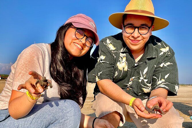 Full Day Tour Turtle Release and Bioluminescence - What you’re paying for: value vs. on-site fees