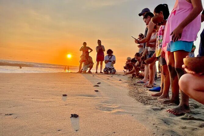 Full Day Tour Turtle Release and Bioluminescence - What to pack (so you don’t ruin your night)