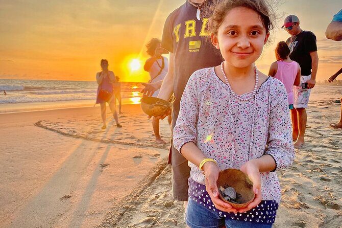 Full Day Tour Turtle Release and Bioluminescence - Who this tour fits best (and who should skip it)