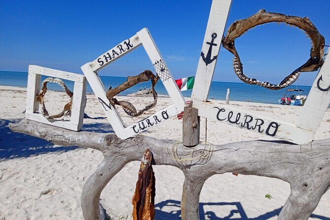 Full Day Tour with Fishing and Snorkeling from Holbox - Timing, Meeting Point, and the Real Logistics of a 6-Hour Day