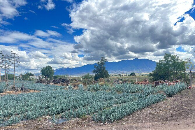 FULL Oaxaca Experience (Small Groups) - Teotitlán del Valle: Gerardo’s Zapotec rug workshop and the tepetes demo