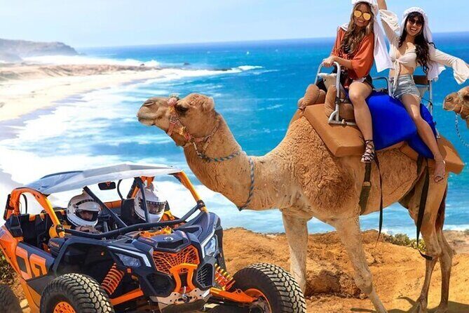 Fun Camel Ride and UTV COMBO with Tequila Tasting! - Key Highlights at a Glance