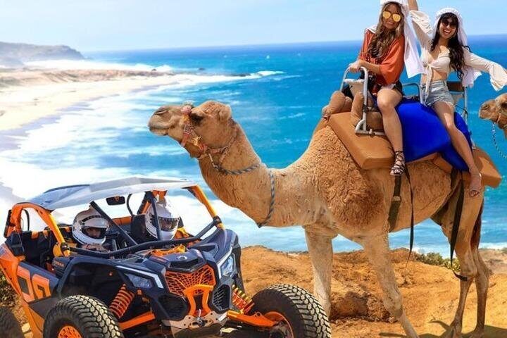 Fun Camel Ride and UTV COMBO with Tequila Tasting! - UTV or Side-by-Side: High-Horsepower Fun on Baja Trails