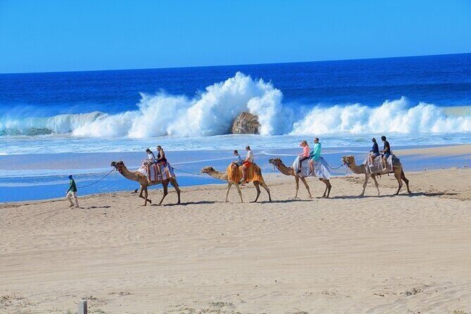 Fun Camel Ride and UTV COMBO with Tequila Tasting! - Vehicle Choice: Matching Your Comfort Level to the Ride