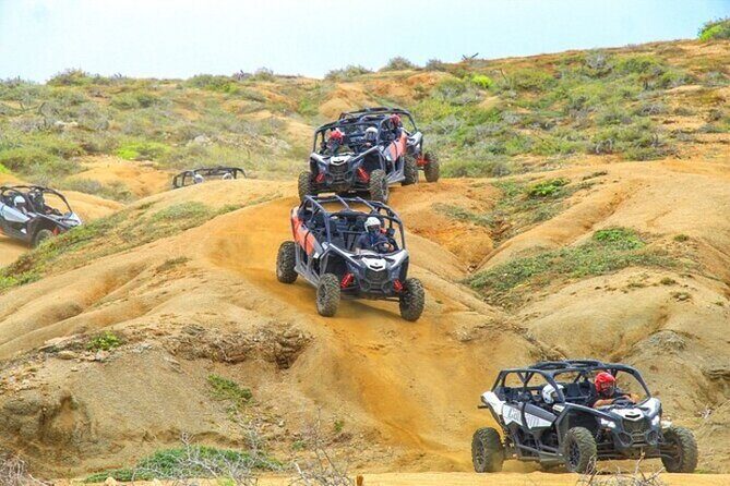 Fun Camel Ride and UTV COMBO with Tequila Tasting! - The Camel Ride Safari: Pacific Beach, Desert Scenery, and Wildflowers