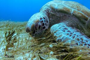 Fun Dive Machine in Playa del Carmen or Cozumel-For Certificates - The meeting point and how your day likely flows