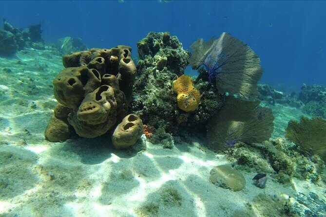 Fun Dive Machine in Playa del Carmen or Cozumel-For Certificates - Getting comfortable fast: coaching that actually matters