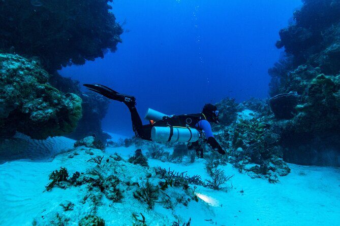 Fun Dive Machine in Playa del Carmen or Cozumel-For Certificates - Boat transfer: faster options when you’re heading to Cozumel