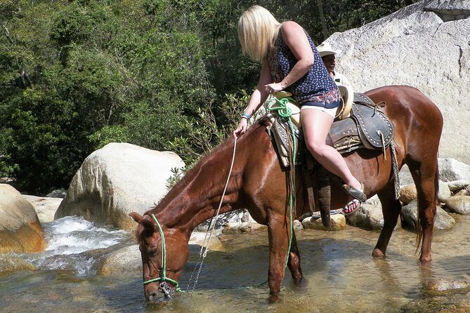 Fun Horseback Tour in Mismaloya - Horses, beginners, and why this ride feels safer than you expect