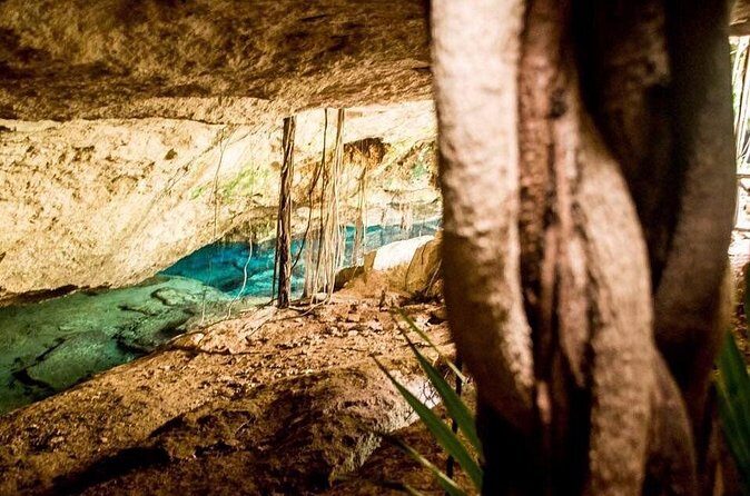 General Admission Ticket to Chikin Ha in Playa del Carmen - Snorkeling in two cenotes: gear, rules, and how to feel confident