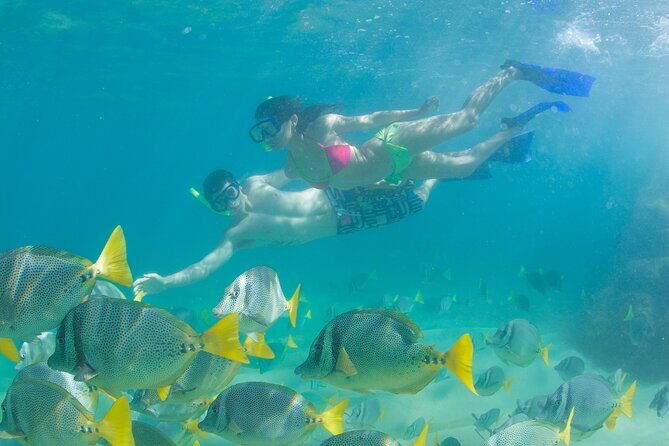 Glass Bottom Boat to the Arch and Lovers Beach: Optional Pickup - Should You Book This Cabo Arch Glass-Bottom Boat Tour?