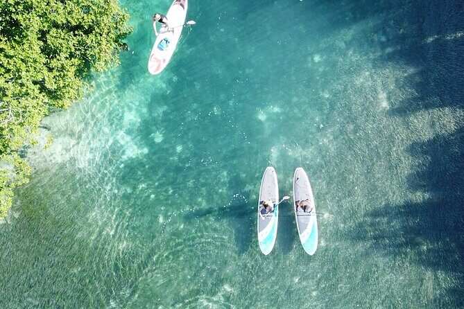 Go City: Cancun Pass: 15+ Things To Do - includes Chichén Itzá - Jungle Tour Adventure: speedboat, snorkel, and water that moves fast