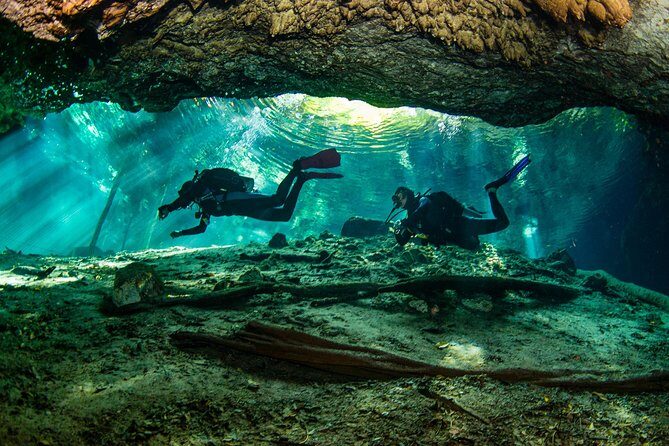 Go for 2 dives in cenote Dos ojos for certified divers - Dos Ojos means two different underworld sections